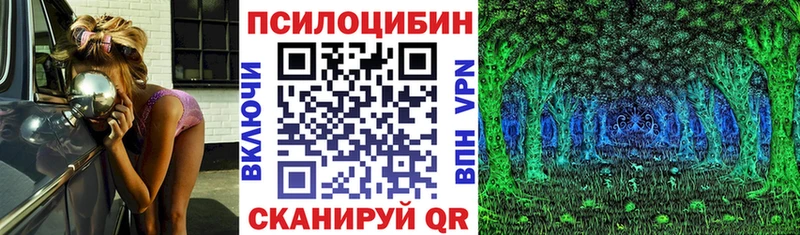сколько стоит  Нижняя Тура  Псилоцибиновые грибы прущие грибы 